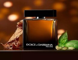 dolce and gabbana the one