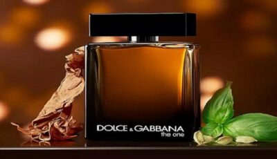 dolce and gabbana the one