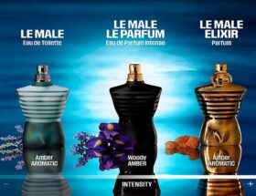 jean paul gaultier le male