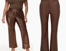 aritzia publish pant