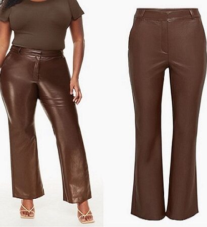 aritzia publish pant